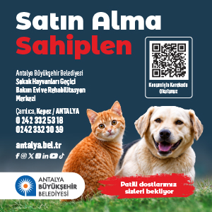 sahiplen